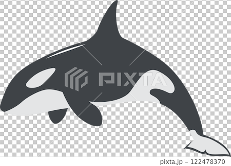 虎鯨圖像插圖 122478370
