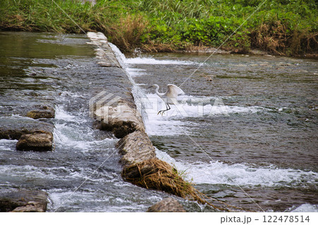 京都 鴨川(賀茂川) 京都 鴨川(賀茂川) 122478514
