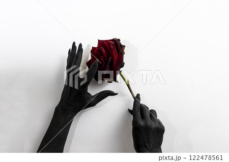 The black hands with long nails hold a rose and make it dry. Concept photo with woman hands painted in black paint with hold a red flower. Demon power in hands make rose die The black hands with long nails hold a rose and make it dry. Concept photo with woman hands painted in black paint with hold a red flower. Demon power in hands make rose die 122478561