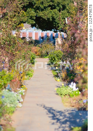 緑あふれる薔薇の庭園通路 122479078
