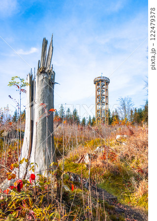Svetly vrch Lookout Tower stands tall in the Jizera Mountains, framed by vibrant autumn foliage and remnants of a fallen tree, highlighting the beauty of the changing season. Svetly vrch Lookout Tower stands tall in the Jizera Mountains, framed by vibrant autumn foliage and remnants of a fallen tree, highlighting the beauty of the changing season. 122479378