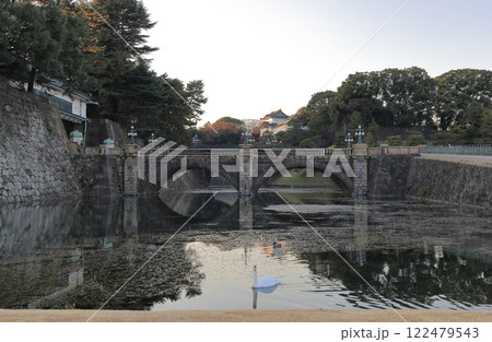 黄昏の皇居。白鳥と正門石橋、二重橋、伏見櫓 122479543