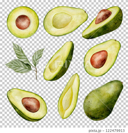 Big set of Watercolor avocado illustration. Hand drawn botanical drawing. Half and slice fruit with leaves and seed. Green plant for food, cosmetic packaging design, card, invitation. Big set of Watercolor avocado illustration. Hand drawn botanical drawing. Half and slice fruit with leaves and seed. Green plant for food, cosmetic packaging design, card, invitation. 122479913