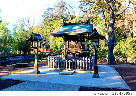 【埼玉】冬の大宮氷川神社　宗像神社と神池　 122479955