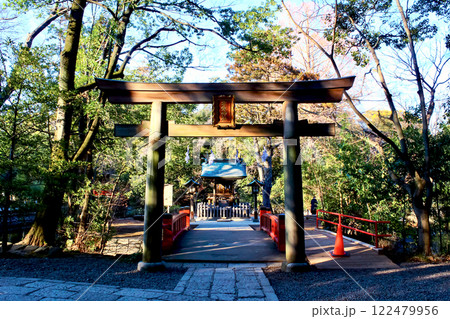【埼玉】冬の大宮氷川神社　宗像神社と鳥居 122479956