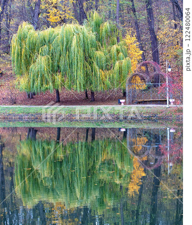 Reflective serenity at a tranquil lakeside in autumn hues and lush foliage Reflective serenity at a tranquil lakeside in autumn hues and lush foliage 122480064