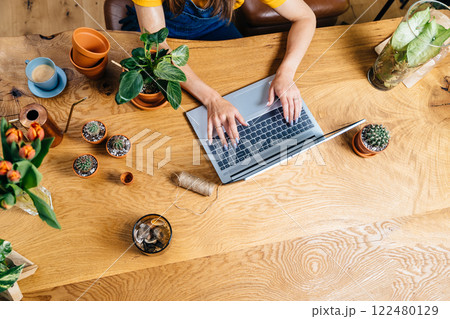Top view close up of female hands on notebook keyboard on large wooden table with clay pots, plants, cactuses, succulents, bouquet of tulips. Woman botanist work from home. 122480129
