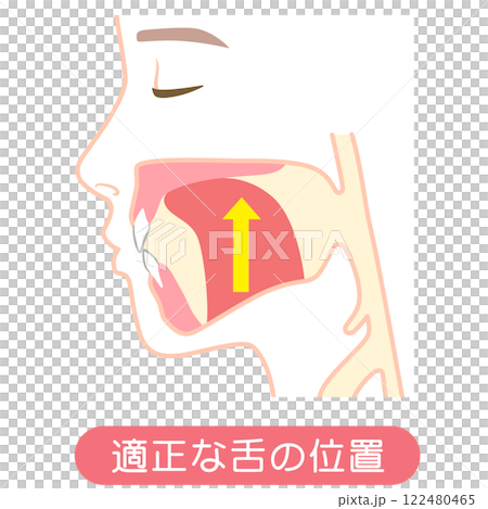 正確的舌頭位置 122480465