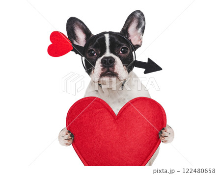 Cute puppy and red heart. Beautiful greeting card 122480658