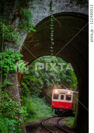 トンネルへ差し掛かる小湊鐵道 キハ200形 122480913