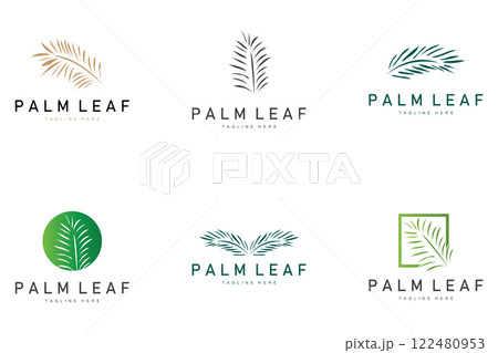 Palm Leaf Logo, Green Plant Design Vector Illustration Template 122480953