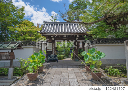 京都 妙心寺 塔頭寺院 退蔵院 京都 妙心寺 塔頭寺院 退蔵院 122481507