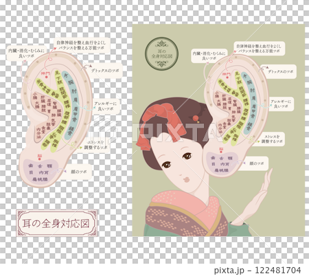 耳つぼ全身対応図のレトロなイラスト 耳つぼ全身対応図のレトロなイラスト 122481704
