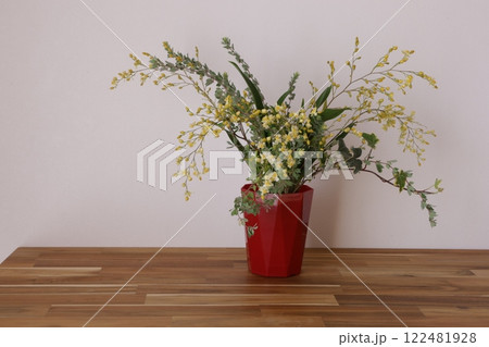 オンシジュームの鉢植え 122481928