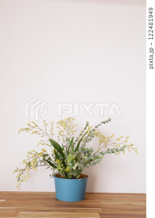 オンシジュームの鉢植え オンシジュームの鉢植え 122481949