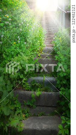 Old stairs in the forest Old stairs in the forest 122482121