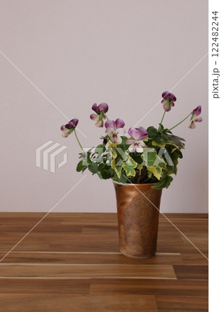 ビオラの寄せ植え ビオラの寄せ植え 122482244