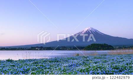 (山梨県)河口湖の大石公園とネモフィラと富士山の絶景 (山梨県)河口湖の大石公園とネモフィラと富士山の絶景 122482979