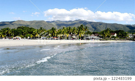 A stunning beach scene with palm trees and clear blue water under a bright sky. 122483199