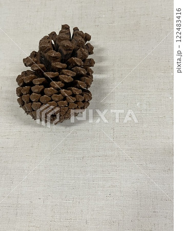 松毬、松ぼっくり、マツボックリ、まつぼっくり松笠、マツカサ 122483416