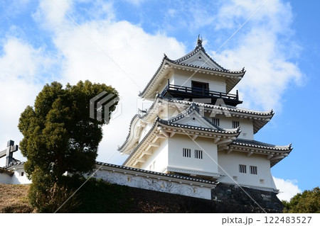 仰ぎ見る掛川城天守閣 仰ぎ見る掛川城天守閣 122483527