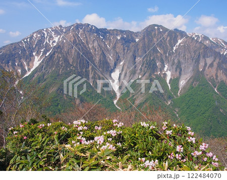 白毛門から望む谷川岳と石楠花 122484070