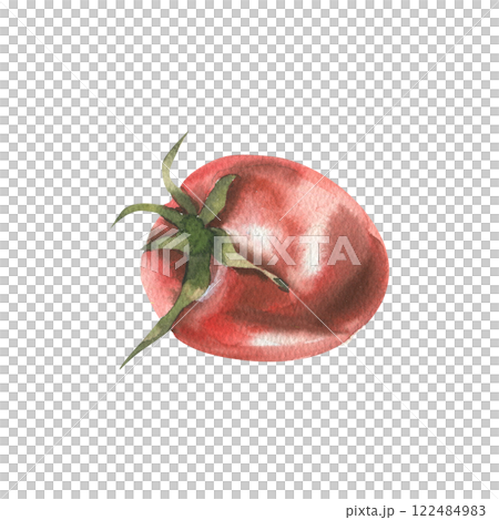 Red fresh tomato watercolor illustration. Hand drawn organic food isolated element, juicy vegetable for product packing, menu, vegan cafe design Red fresh tomato watercolor illustration. Hand drawn organic food isolated element, juicy vegetable for product packing, menu, vegan cafe design 122484983