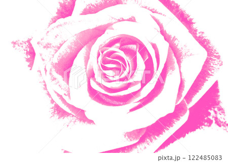 ピンクのバラの花 122485083