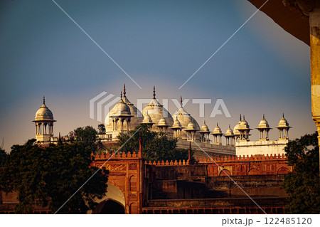 アーグラ城塞のドーム 122485120