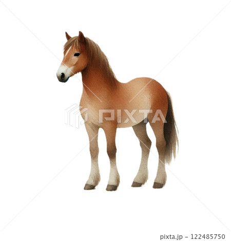 可愛い茶色い馬の水彩イラスト 可愛い茶色い馬の水彩イラスト 122485750