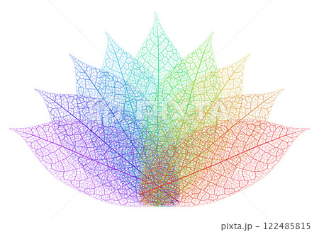 Layered editable vector illustration outline of a flower pattern composed of leaf veins with different colors. 122485815