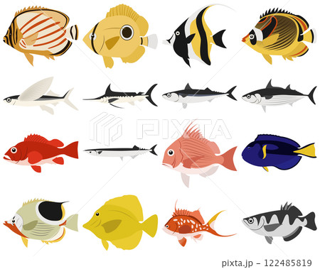 Layered editable vector illustration collection of fishes. 122485819