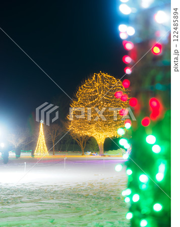雪とイルミネーションを縦構図で撮影 122485894