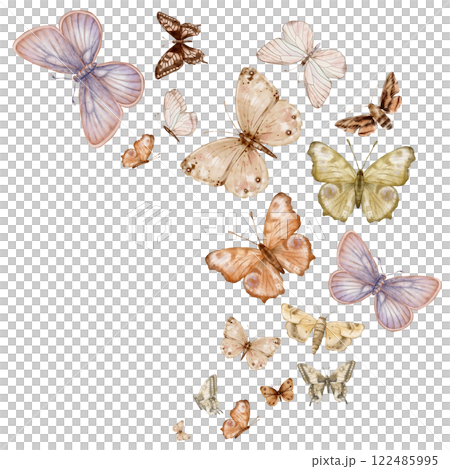 Butterflies, stereofish, moths on white background. Set of delicate cute beige brown violet butterflies. Hand drawn watercolor illustration on isolated white background. Template for print or frame. Butterflies, stereofish, moths on white background. Set of delicate cute beige brown violet butterflies. Hand drawn watercolor illustration on isolated white background. Template for print or frame. 122485995