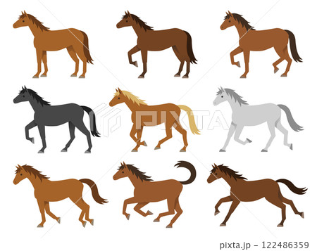 色々な毛色の馬のイラストセット 122486359