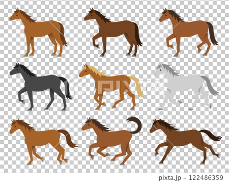 色々な毛色の馬のイラストセット 122486359