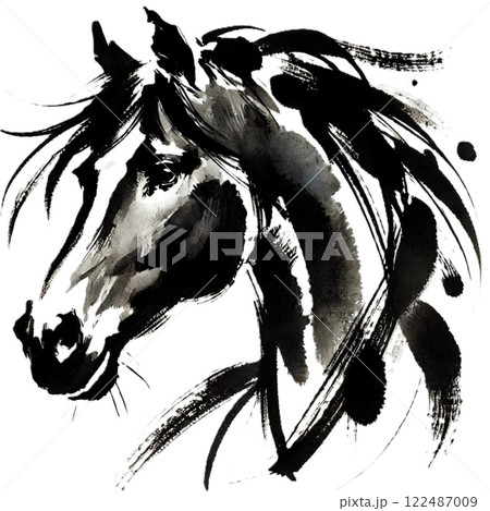 黒墨で描いた馬の顔 黒墨で描いた馬の顔 122487009