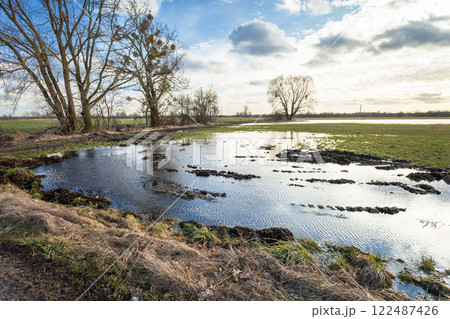 Water in rural meadow with big trees Water in rural meadow with big trees 122487426