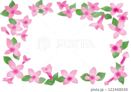 ブバルディアの花のカード1 ブバルディアの花のカード1 122488030