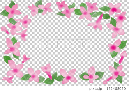 ブバルディアの花のカード1 ブバルディアの花のカード1 122488030