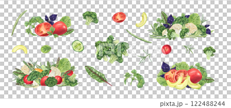 Fresh vegetable salads clip art watercolor set illustration isolated background. Tomatoes, broccoli, cauliflower, bean, cucumber slices, avocado, seasoning herb leaves. Healthy food for vegan menu Fresh vegetable salads clip art watercolor set illustration isolated background. Tomatoes, broccoli, cauliflower, bean, cucumber slices, avocado, seasoning herb leaves. Healthy food for vegan menu 122488244