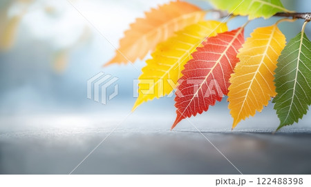 Vibrant Autumn Leaves Displaying a Spectrum of Warm Colors on a Branch 122488398