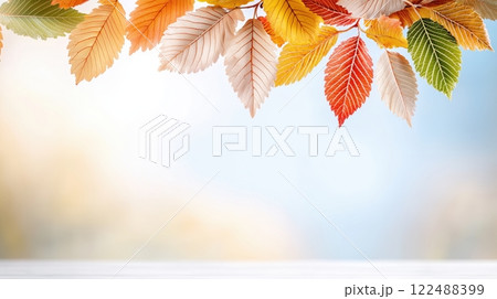 Vibrant Autumn Leaves Displaying a Spectrum of Warm Colors on a Branch 122488399