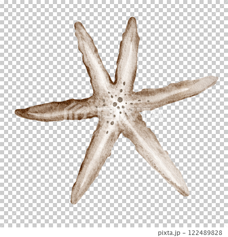Watercolor illustration Starfish close up on isolated background. Drawing of Sea star for baby shower invitations. Sketch marine underwater creature for childish greeting cards. 122489828