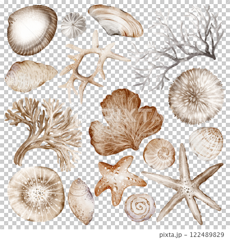 Seashell and starfish watercolor set oceanic elements on isolated background. Nautical clipart with corals for wrapping paper or textile design. Marine collection with underwater for icon or logo. Seashell and starfish watercolor set oceanic elements on isolated background. Nautical clipart with corals for wrapping paper or textile design. Marine collection with underwater for icon or logo. 122489829