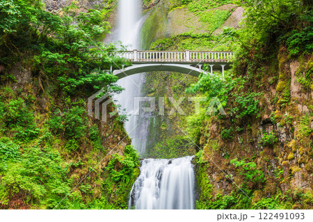 Multnomah Falls, Oregon, USA located in the Columbia River Gorge Multnomah Falls, Oregon, USA located in the Columbia River Gorge 122491093