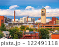 Ann Arbor, Michigan, USA Town Skyline 122491118