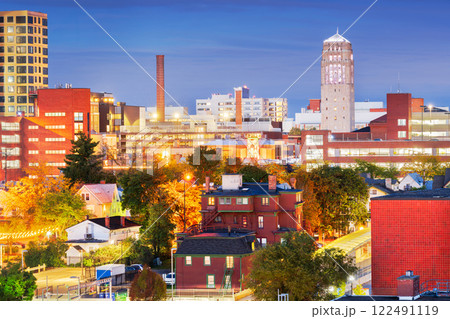 Ann Arbor, Michigan, USA Town Skyline 122491119