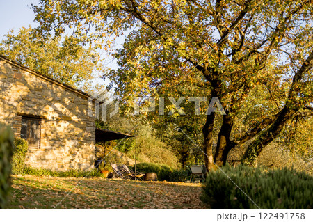 Rustic Patio Under Autumn Trees 122491758