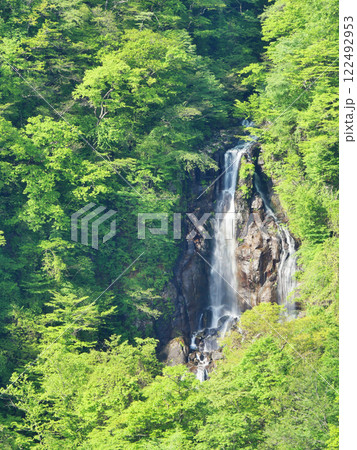 新緑の蔵王(滝見台から望む三階滝)【宮城県刈田郡】 新緑の蔵王(滝見台から望む三階滝)【宮城県刈田郡】 122492953